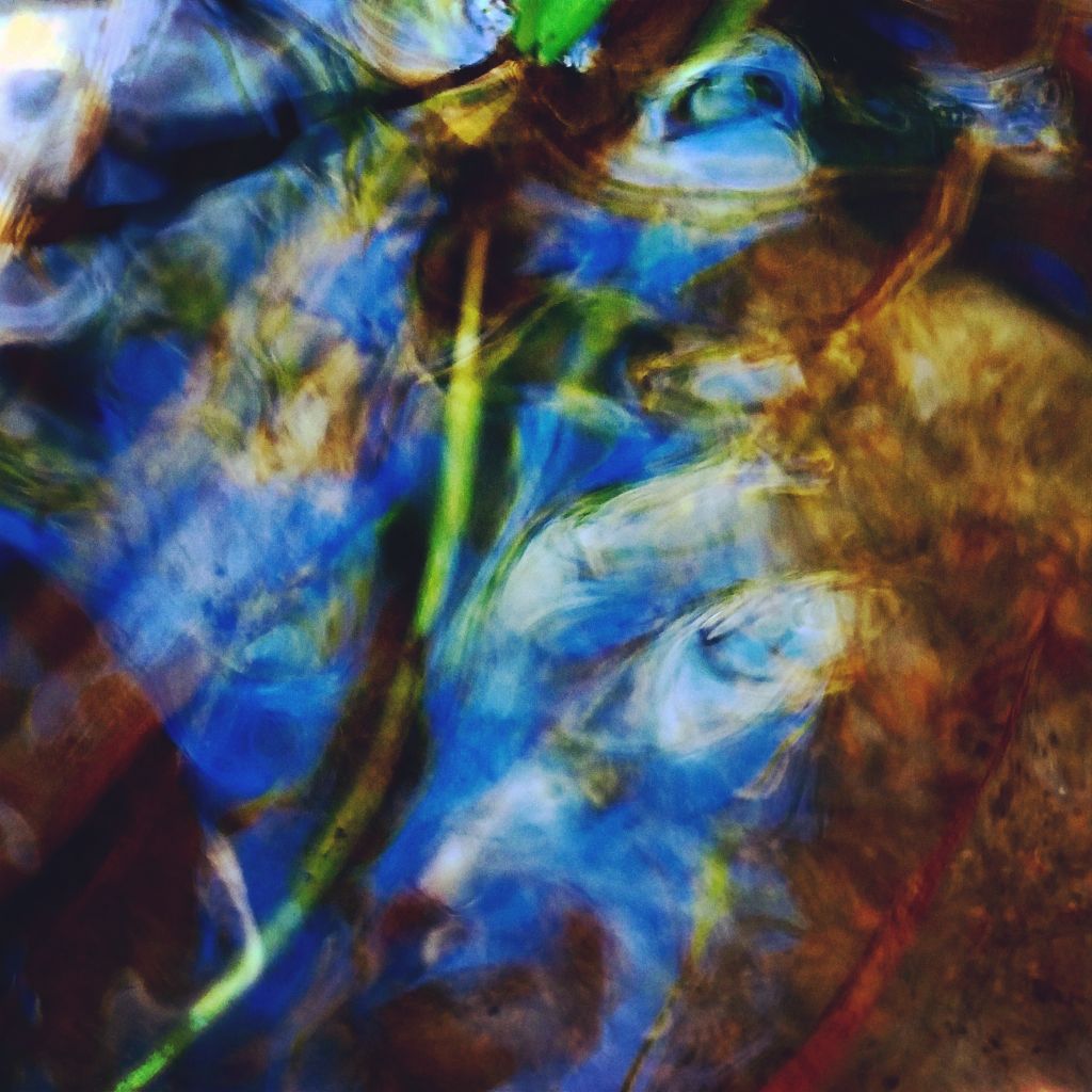 LiquidLightLeaves #36